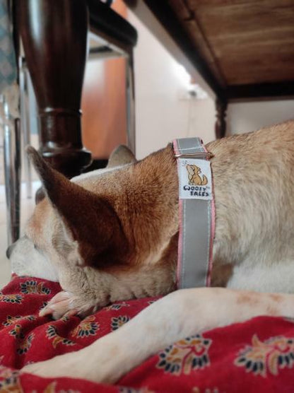 Premium Reflective Collar For Street & Community Dogs - PACK of 5 Multicolor, Heavy Nylon, Push Lock Buckle & Affordable Price